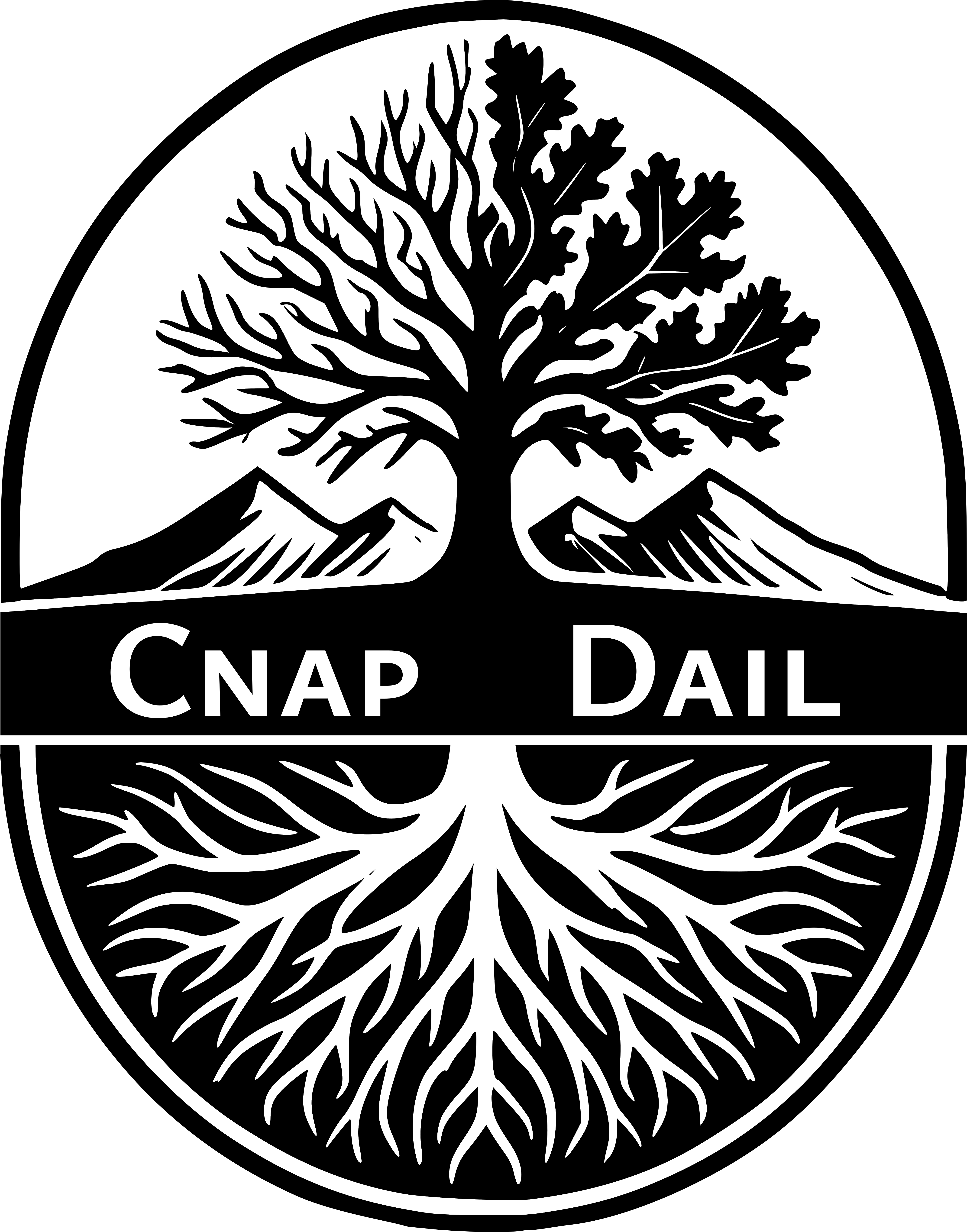 Cnap Dail